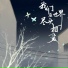 苏玮