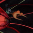 The Hermitt