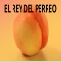 Dj Alan Perreo
