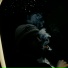 Rell Vert