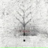 The Materia