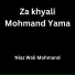 Niaz Wali Mohmand