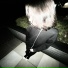 WINTEREXOTIC