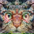 M-Theory