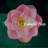 Tai Chi, Morning Meditation