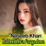 Naseeb Khan
