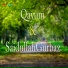 Qayum, Saidullah Gurbaz