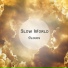 Slow World