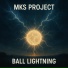 MKS Project