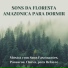 Voz da Amazônia