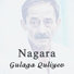 Gulaga Quliyev, Seymur Kerimov