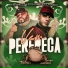 mc kalzin, DJ Cleitinho