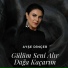 Ayşe Dinçer
