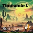 Timnumbr1