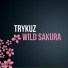 Dan Balan X TRYKUZ