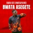 Babu Gee Omosayansi