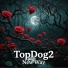 TopDog2