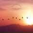 Sleepy Bird Sounds