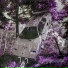 hzrxrd.killa