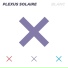 Plexus Solaire