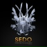 Sedo