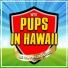 Pups Superstars, Kids Superstars