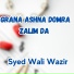 Syed Wali Wazir