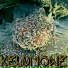 KELDMONE