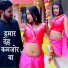 Manita Shree