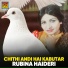 Rubina Haideri