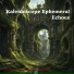 Kaleidoscope Ephemeral Echoes