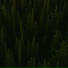 [с]одиум