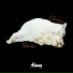 Almeng