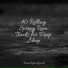 Spa Music Relaxation, Meditação Yoga, Sleep Waves