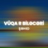 Vüqar Biləcəri