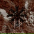 Fortið
