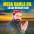 Sajjad Hussain Saqi