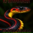 Dj moondancer