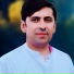 Wazir Pardes