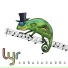 Lyr