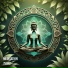 Soulwave Aura