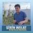 Şirin Welat