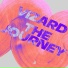 Vizard