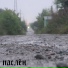 паслён