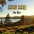 Hasan Karlı