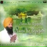 Bhai Naib Singh Ji