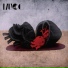 MUCC