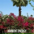Ambient Energy