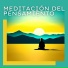 Música para pensar maestro