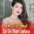 Hazir Gul